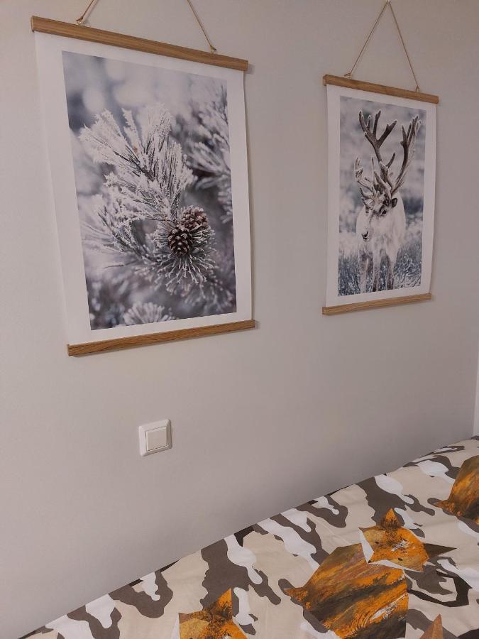 Nordic Home, With Private Sauna 로바니에미 외부 사진